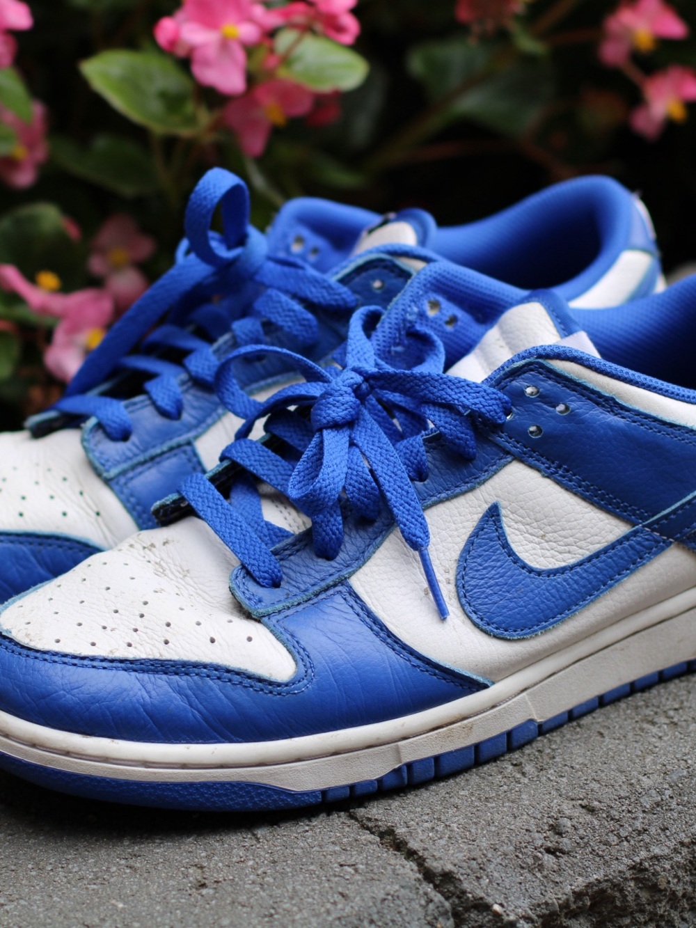 Nike Low-Top Sneakers in White and Royal Blue